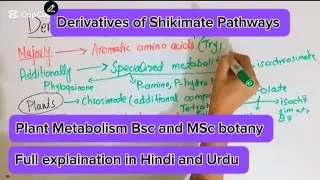Derivatives of Shikimate Pathways|Shikimate Pathways|Plant metabolism