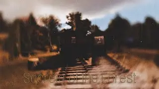 𝓢𝓾𝓭𝓻𝓲𝓪𝓷 𝓔𝓷𝓰𝓲𝓷𝓮𝓼 | Secrets of the Forest | (TRAILER)