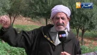 سعيدة / فلاحو منطقة سيدي يحيى يطالبون السلطات ربطهم بالكهرباء