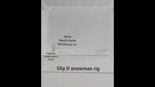 Sticky baits slip D snowman rig manilla 16mm boilie topped with manilla 12mm pop up tank test
