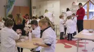 Discover Primary Science and Maths workshop