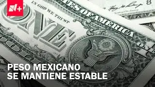 Precio del d&oacute;lar hoy 14 de enero de 2026: Sigue la estabilidad del peso - Despierta