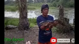 Dapat babon ikan gabus tapi sayang strike tidak terekam ||Tito Asrori