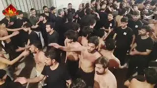 Haye Abbas A.S Ko Larne Ki |Sangat Dar e Najaf| #tanzeemekarwanenajaf #sangatdarenajaf