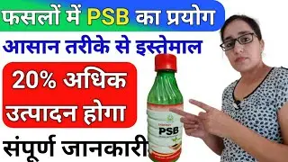 PSB fertilizer | phosphate solubilizing bacteria biofertilizer kaise use kare | Natural fertilizer