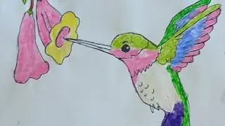 How to draw hummingbird || Easy step-by-step || For Beginners || Do subscribe 🥳 || simple way ||