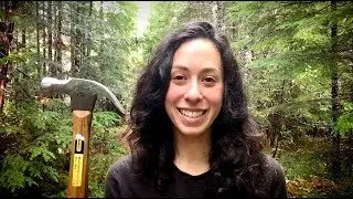Put Down the Hammer | Dr. Z