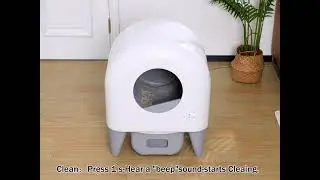 Cumrige M4 Cleaning & Emptying Demonstration | Smart Self-Cleaning Cat Litter Box Function Showcase