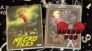 The Necro Files (1997) Review