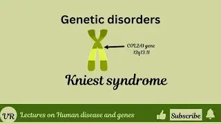 What is Kneist Syndrome?