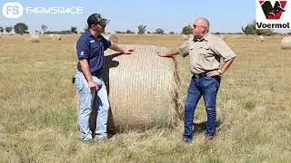 Riaan from Voermol discusses why you need to feed your animal Phosphates. (Afrikaans)