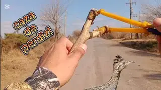 CAZA de PERDIZ con GOMERA!🎯 (No te pierdas esta caza) @Caza1994 