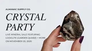 Live Crystal Sale 💎 Lodolite (Garden Quartz), Cave Calcite, Smoky Lemurian, and Amphibole