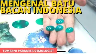 Jenis-Jenis Chrysocolla Chalcedony (BACAN)