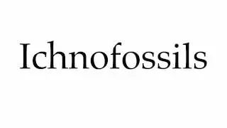 How to Pronounce Ichnofossils