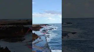 Dedicated or crazy? Would you do it for a big fish? 🐟#fishing #quobba #blowholes #waves #ocean