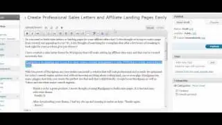Wordpress Sales Letter Theme