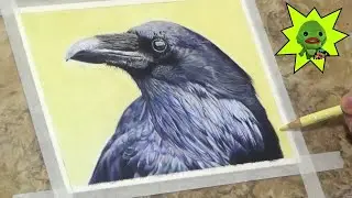 Raven (Time Lapse Colored Pencil Sketch)