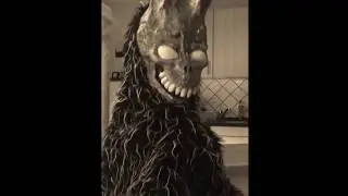 Frank the bunny mask (Donnie Darko)