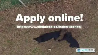 Online Dog / Pet License Registration in India