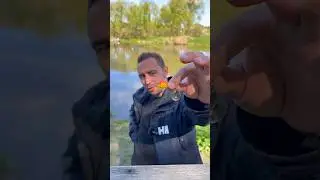 Преимущества и недостатки тейл-спиннера #рыбалка #спиннинг #тейлспиннер #ufstudio