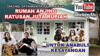 Bikin Rumah Anjing Ratusan Juta, Untuk anjing jenis Cavalier King Charles Spaniel