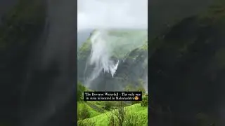 Ther Reverse Waterfall #incridibleindia #waterfall #maharashtra #india #adevnture #nature #love