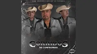 Corrido de el Rayas