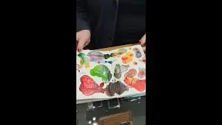 Paper Republic notebook tour