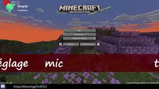 probleme echo pendant stream obs patch&eacute;