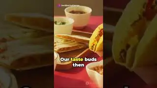 Around the World in 5 Plates: Must-Try Global Cuisines