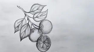How to draw Lemon step by step| Lemon drawing for beginners step by step tutorial | Fruits drawing