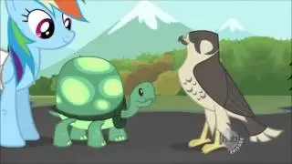 MLP: FiM 