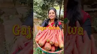 Gajar Ka Halwa #shorts