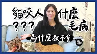 貓咬人什麼毛病？為什麼教不會