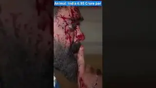 Animal Advance Booking Report 6 | Animal 1st Day Advance Booking 7 Crore 🤷 |#animal #shorts