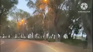 nad alhamar dubai