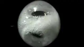 Bubble generation in a water sphere in microgravity