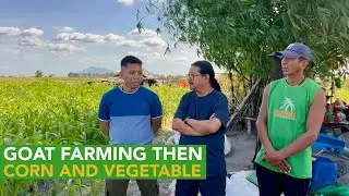 Biggest Learning sa 4 Years Farming Experience nila!