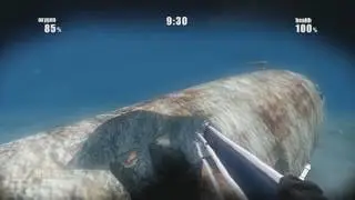 Shark Attack Deathmatch (11/9/2012)