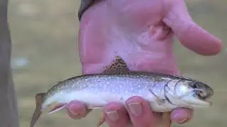 One Creation Fly Fishing Kickstarter