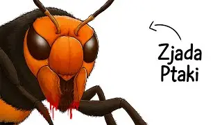 Dlaczego bycie szerszeniem olbrzymim to koszmar, którego nie chciałbyś przeżyć