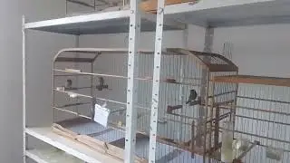 ***Filhos e Netos**Georgia**