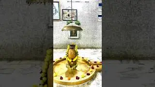 valentines Day or Shivratri mein Takkar🌹#youtube #mini #shorts #video