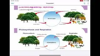 Tips for USS  | Biology for USS | Enskool App