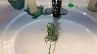 Unclog Sink or Tub QUICKLY With This Tool