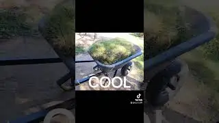 super kid #lawncare #shovel #hardwork #mowing #children #sod #construction #tractor #grass #animal