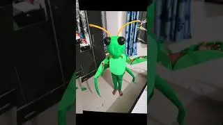 Grasshopper fancy dress competition ideas #school #insects #diy