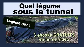 Quel l&eacute;gume se cache sous ce tunnel noir