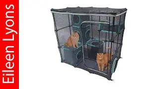 Best Outdoor Cat Enclosures 2026 - Top 5